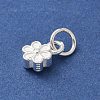 S925 Sterling Silver Pendant STER-H115-08E-S-2