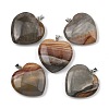Natural Picasso Jasper Pendants GG-K002-12A-27-1