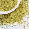 MIYUKI Delica Beads SEED-X0054-DB0412-1