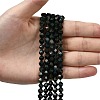 Natural Bloodstone/Heliotrope Beads Strands G-Z119-A16-01-2