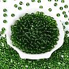 FGB Transparent Glass Seed Beads SEED-N013-01B-10-2