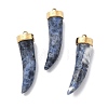 Natural Sodalite Horn Pendants STAS-R130-03G-01-1