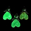 Luminous Transparent Acrylic Pendants PALLOY-JF04204-01-2