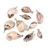 Electroplate Natural Spiral Shell Pendants SSHEL-Q100-32G-1