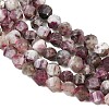 Natural Plum Blossom Tourmaline Beads Strands G-P611-C36-01-4