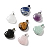 Natural Mixed Stone Perfume Bottle Pendants G-P470-01P-1