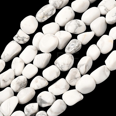 Natural Howlite Beads Strands G-C286-A20-1