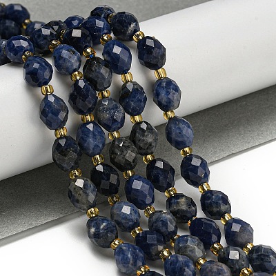 Natural Sodalite Beads Strands G-N342-57-1