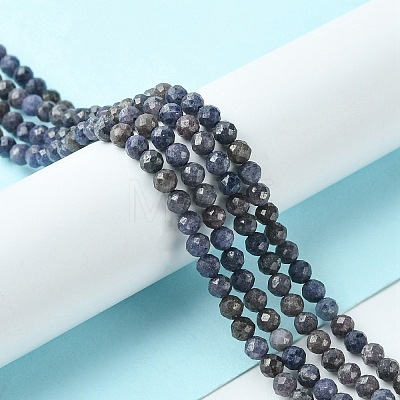 Natural Sapphire Beads Strands G-F748-M01-02-1