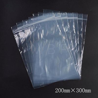 Plastic Zip Lock Bags OPP-G001-F-20x30cm-1