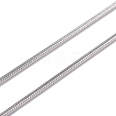 304 Stainless Steel Round Snake Chains CHS-L023-01E-P-1