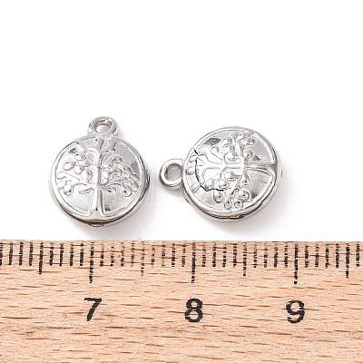304 Stainless Steel Charms STAS-K303-08F-P-1