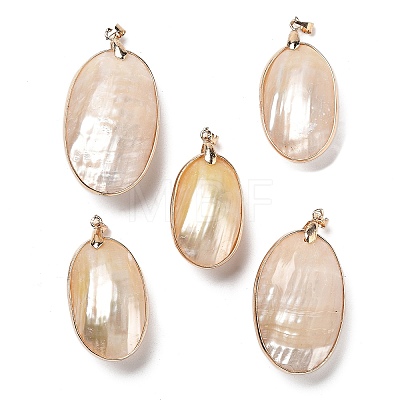 Electroplate Natural Shell Big Pendants KK-F882-05G-1