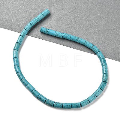 Synthetic Howlite Beads Strands TURQ-F018-06-1