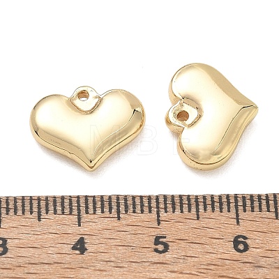 304 Stainless Steel Charms SA-CBA3037-20G-13-1
