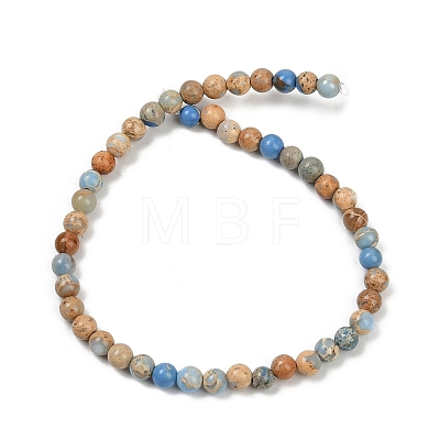 Dyed Natural Regalite/Imperial Jasper/Sea Sediment Jasper Beads Strands G-B124-C04-13-1