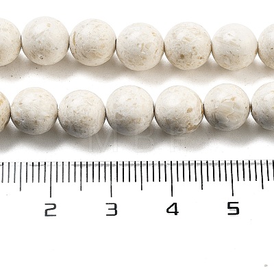 Natural Fossil Beads Strands G-H026-02D-1