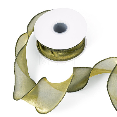 Polyester Mesh Ribbon SRIB-TAC0002-29B-03-1