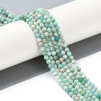 Natural Amazonite Beads Strands G-G139-A15-03-1