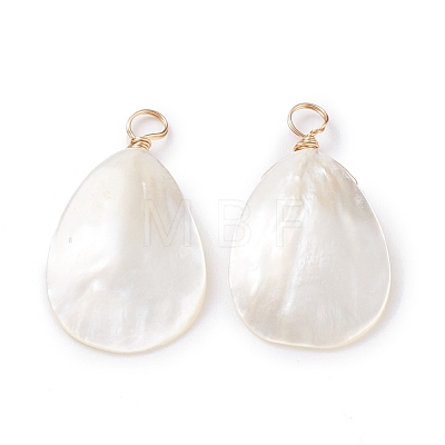 Natural Trochid Shell/Trochus Shell Pendants PALLOY-JF01393-1