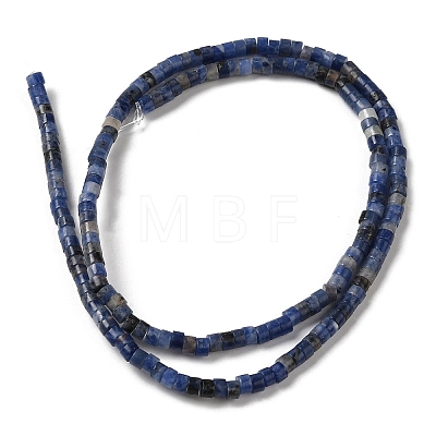 Natural Sodalite Beads Strands G-E612-A12-1