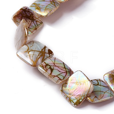 Drawbench Natural Fresh Shell Beads Strands SHEL-P015-10-1