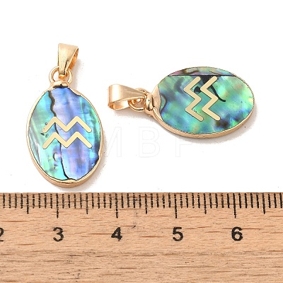 Constellation Natural Paua Shell Pendants KK-P265-01G-09-1