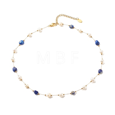 Natural Gemstone & Pearl Beaded Necklace NJEW-JN03894-1