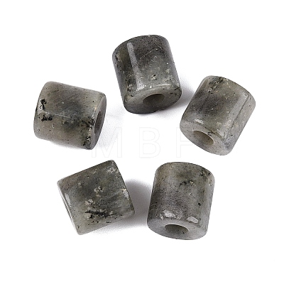 Natural Labradorite European Beads G-P520-05K-1