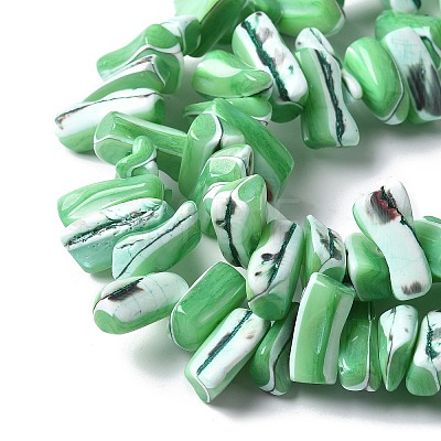 Dyed Natural Trochus Shell Beads Strands SSHEL-C013-09H-1
