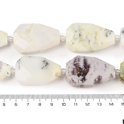 Natural White African Opal Beads Strands G-P548-B09-01-1