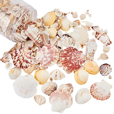 Natural Sea Shell Beads Kits SSHEL-PH0002-49-1
