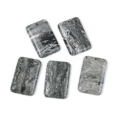 Natural Map Stone Pendants G-N361-04A-1