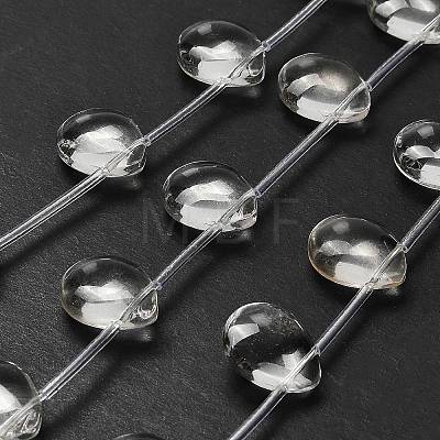 Transparent Glass Beads Strands G-P562-01-1