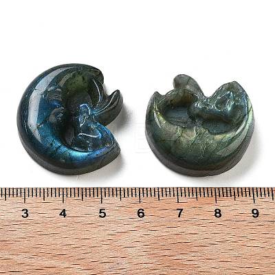 Natural Labradorite Carved Cabochons G-C152-09-1