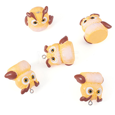 5Pcs Opaque Resin Pendants RESI-TADJ0001-26C-1