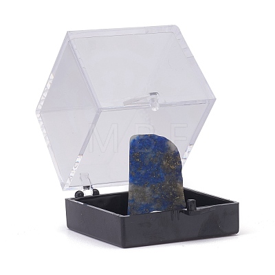 Nuggets Natural Lapis Lazuli DJEW-F011-03E-1
