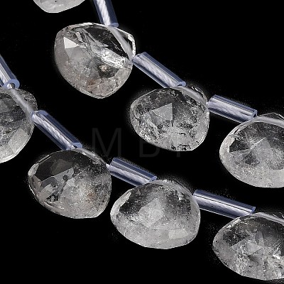 Natural Quartz Crystal Beads Strands G-C292-A03-01-1