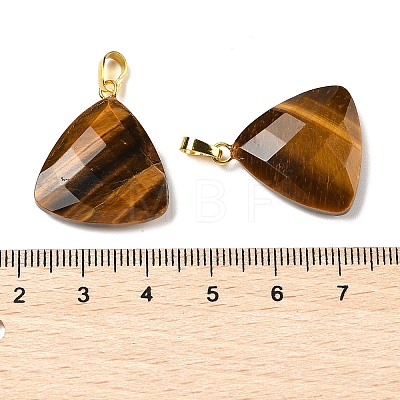 Natural Tiger Eye Pendants G-L614-D04-G02-1