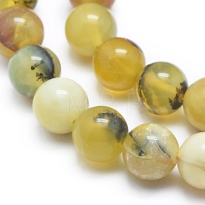 Natural Yellow Opal Round Bead Strands G-M296-02-10mm-1