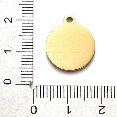 304 Stainless Steel Pendants STAS-H438-05G-01-1