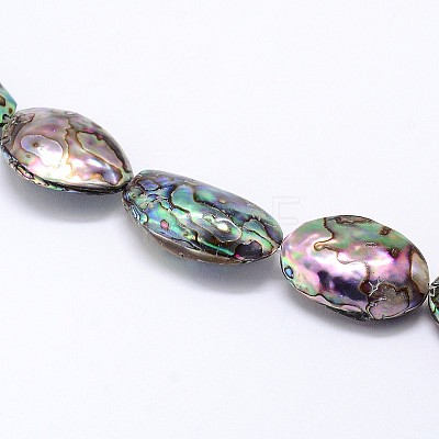 Natural Paua Shell Beads Strands SSHEL-J047-07A-1