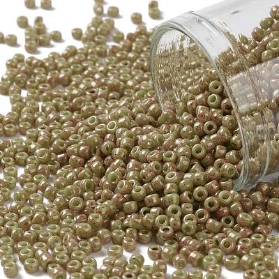 TOHO Round Seed Beads SEED-JPTR11-1209-1