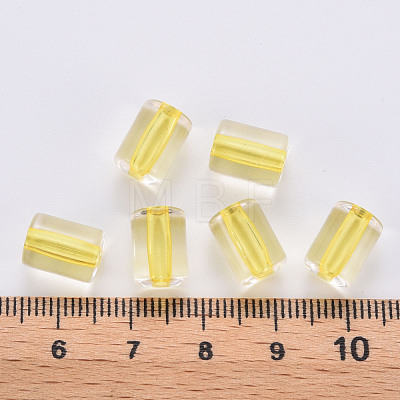 Transparent Acrylic Beads TACR-S154-17A-81-1