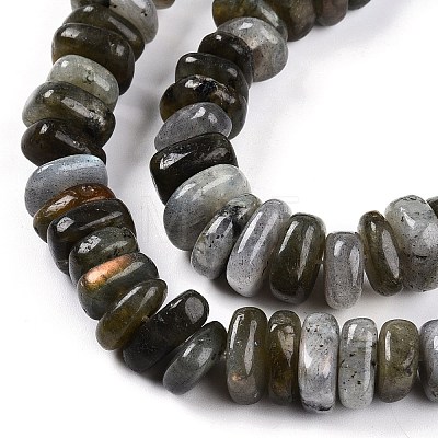 Natural Labradorite Beads Strands G-T141-09-1