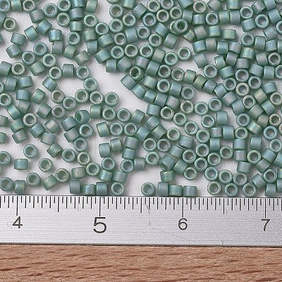 MIYUKI Delica Beads SEED-J020-DB2313-1