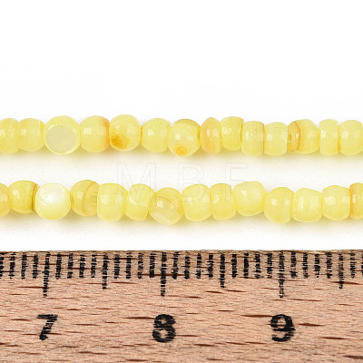 Natural Freshwater Shell Dyed Beads Strands SHEL-T020-29B-09-1