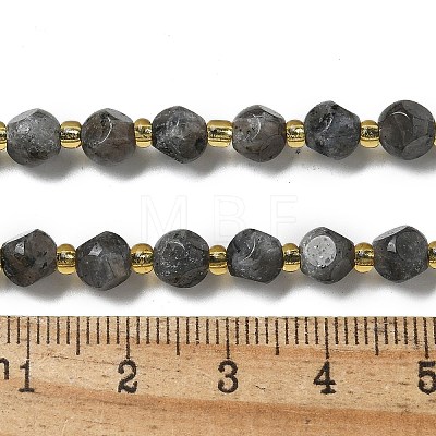 Natural Larvikite Beads Strands G-K387-A02-01-1