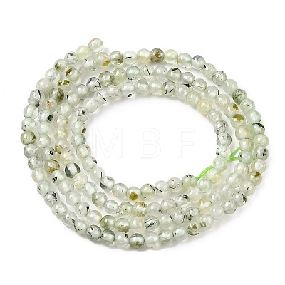 Natural Prehnite Beads Strands G-RM250104-A9-1
