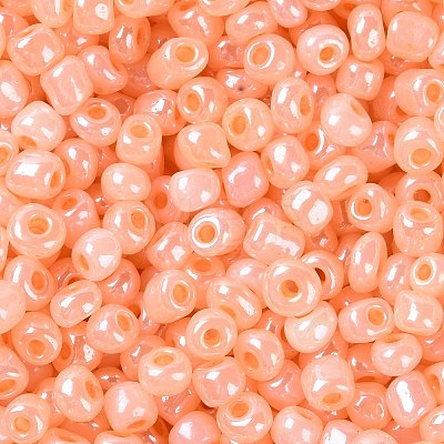 6/0 Glass Seed Beads SEED-XCP0001-19-1